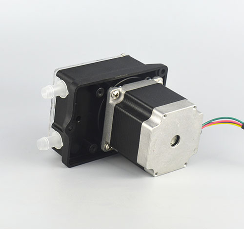 K25大香蕉精品