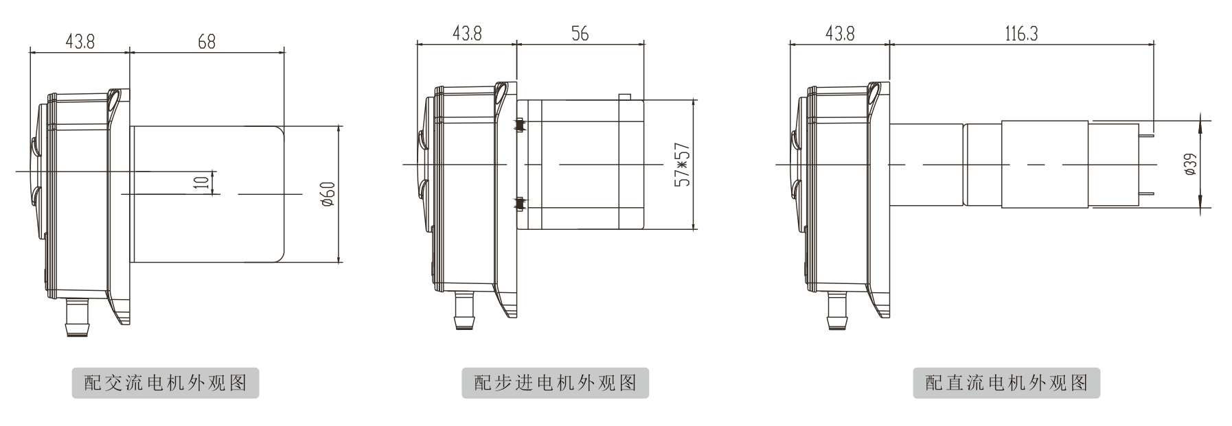 K25大香蕉精品 K25大香蕉精品