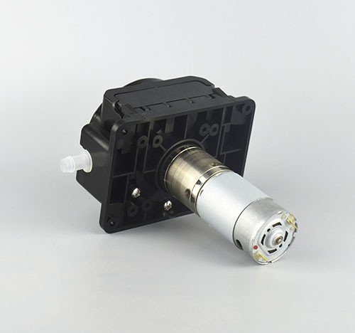 K335大香蕉精品